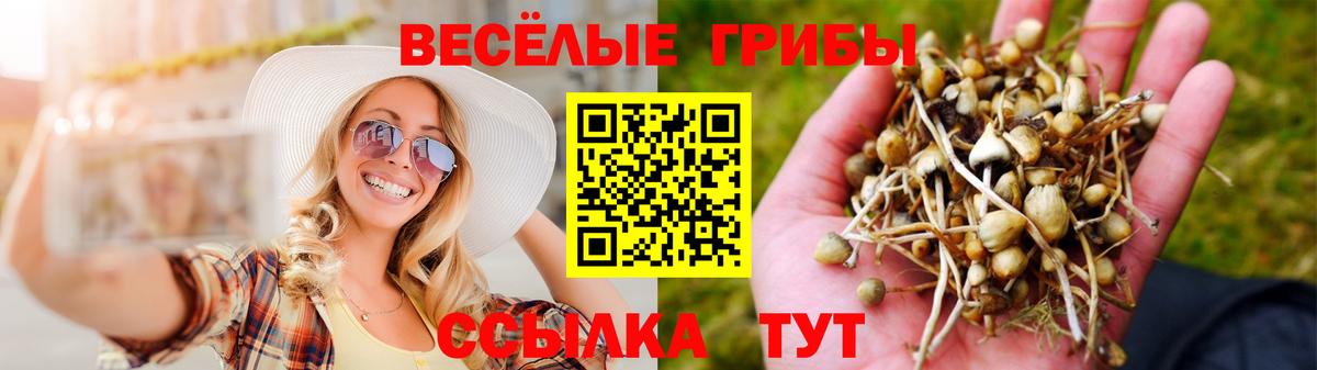 Краснодар  Псилоцибиновые грибы Cubensis  Вход с VPN 